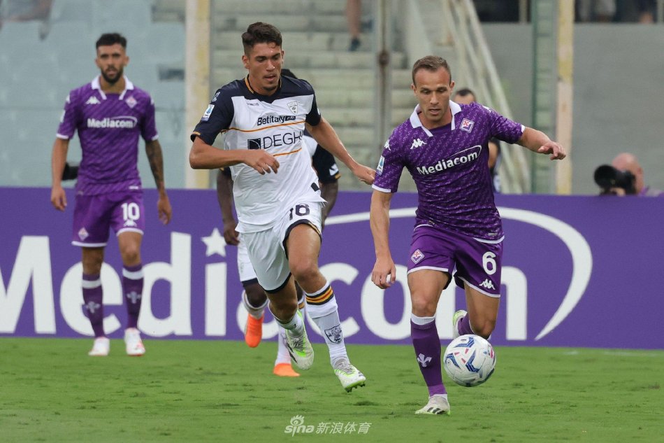 在高强度对 在高强度对